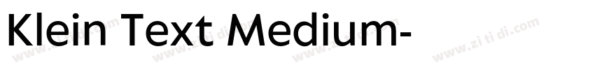 Klein Text Medium字体转换